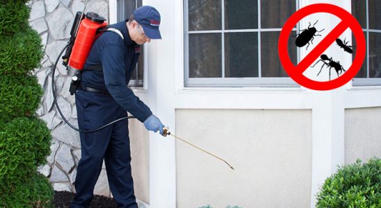 Nazilli Böcek İlaçlama böcek ilaçlama ve haşere kontrolü — ilaclama-tr.com